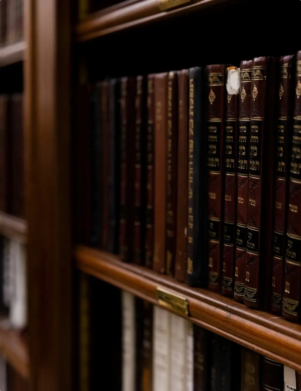 Livros de Direito dispostos em uma estante de advocacia